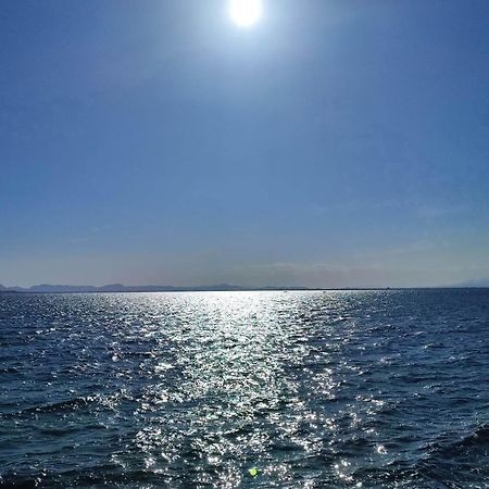 לה מאטה Apartamento Cerca De La Playa La Mata חדר תמונה